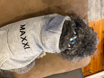 Native Collars Wild Sea Paracord Collar Review