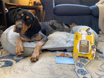 Door Buddy Door Buddy® Dog: Grey Chevron Review
