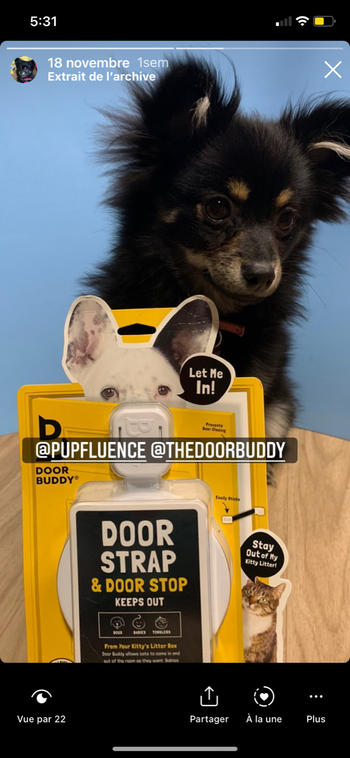 Door Buddy Door Buddy® Baby Plus Pinch Guard Review