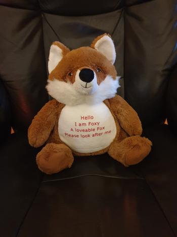 Perham Prints Personalised Photo Teddy Bear with Photo and text Baby Scan Cuddle Toy Review