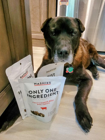 Nashies Freeze-Dried Cheese Dog Treats Review