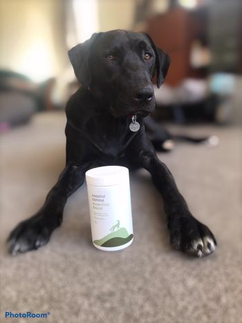 Coastal Canine Essential Boost Review