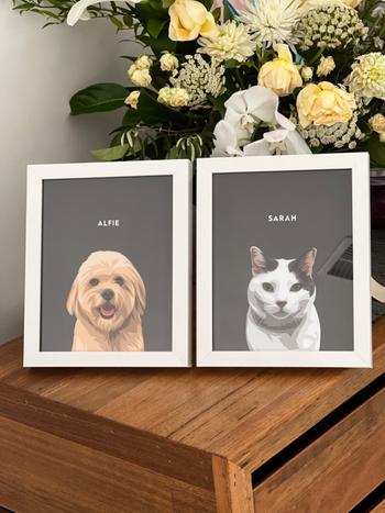 Barkify Framed Custom Pet Portrait Review