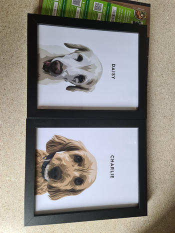 Barkify Framed Custom Pet Portrait Review