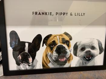 Barkify Framed Custom Pet Portrait (3 pets) Review