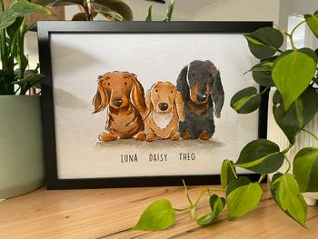 Barkify Framed Watercolour Pet Portraits Review