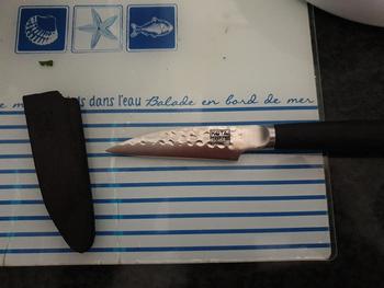 KOTAI Paring Knife - 90 mm blade Review