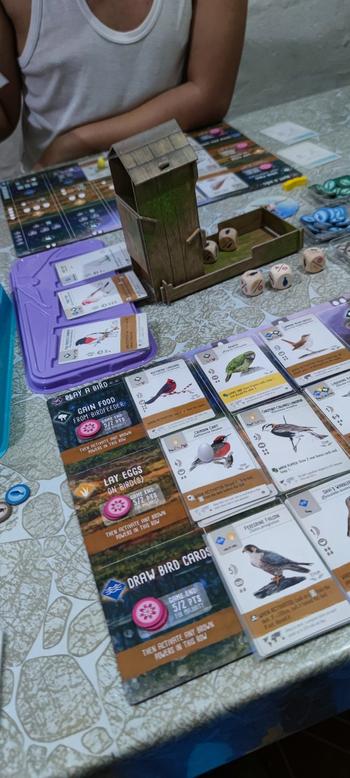 Gaming Library Wingspan: Oceania Expansion Review