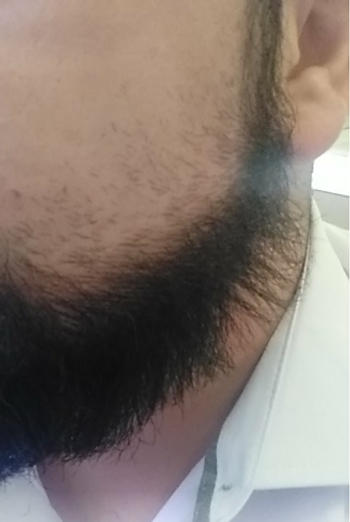 Beard Guru Australia Beard Straightener - 2 in 1 For Beard and Hair Review