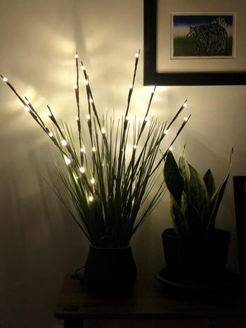 Sporal 2 Sets LED Twig Lights Review