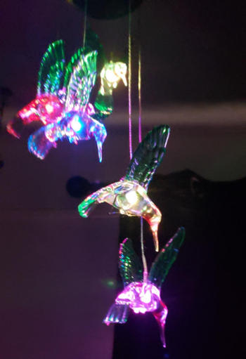 Sporal Solar-Powered Dangling Hummingbird Lights Review