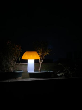 Sporal Solar-Powered Mushroom Light Review