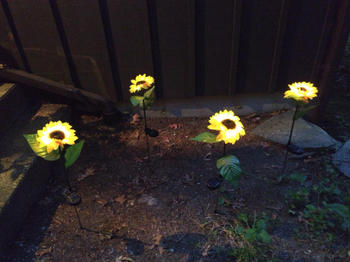 Sporal Solar Powered Sunflower Stake Light Review
