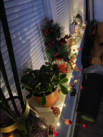 Sporal Pinecone Red Berry Garland String Light Review