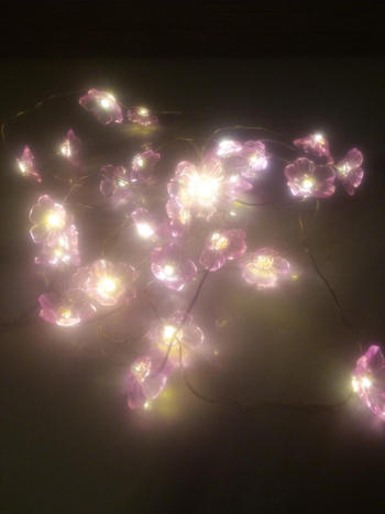 Sporal LED Peach Blossom String Light Review