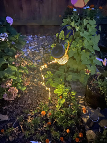 Sporal Solar-Powered Watering Can Light Review