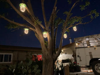 Sporal Solar-Powered Pineapple hanging lights Review
