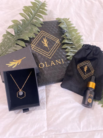 OLANI.CO Joy Review