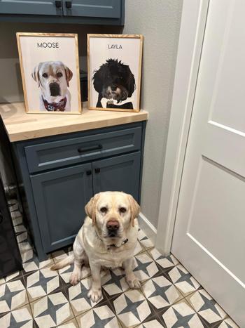Fairlight Collective Detailed Pet Portrait Review