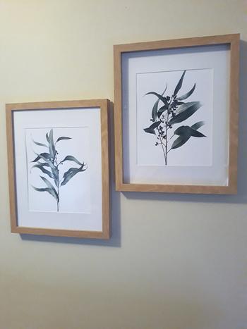 Print and Proper Dried Eucalyptus Leaves III - Art Print Review