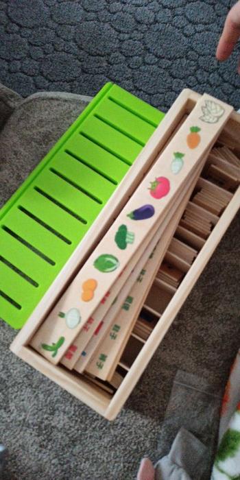 Project Montessori Wooden Educational Sorting Box Review