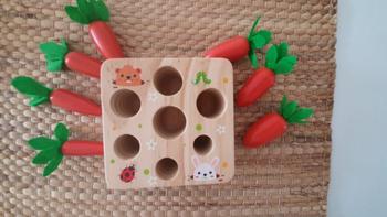 Project Montessori Best Seller: Carrots Harvest Box Review