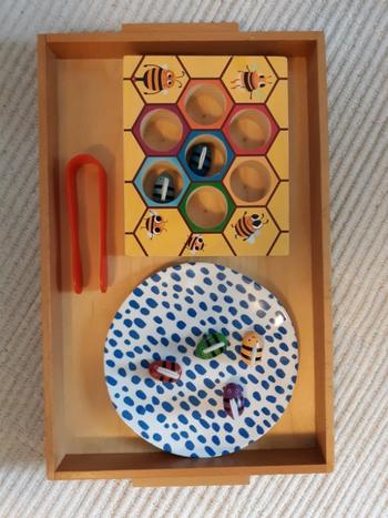 Project Montessori Best Seller: Bee Wooden Sorting Game Review