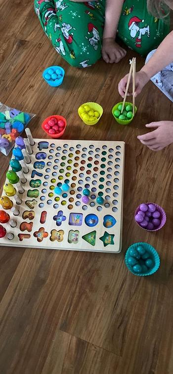 Project Montessori Best Seller: Wooden Magnetic Sorting Puzzle Review