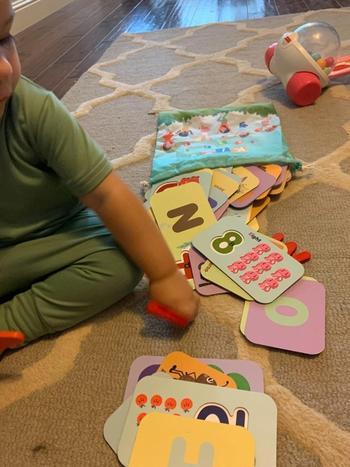 Project Montessori Best-Seller: Alphabets and Numbers Wooden Flash Cards Review