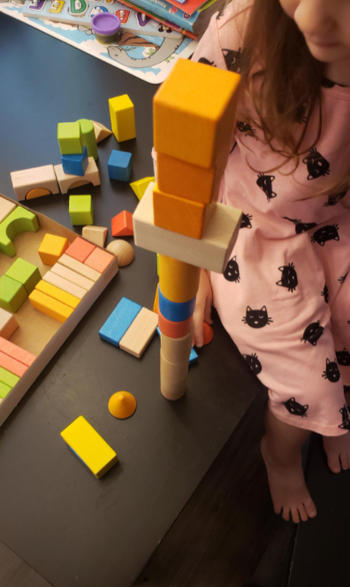 Project Montessori Montessori Wooden Building Blocks Set Review