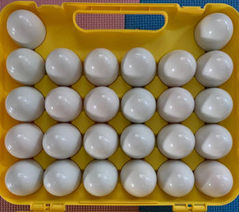 Project Montessori Montessori ABC Matching Easter Eggs Review