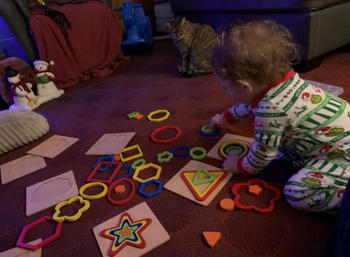 Project Montessori Rainbow Colors & Shapes Puzzle Review