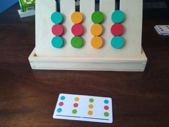 Project Montessori Montessori Color & Shape Slide Puzzle Review