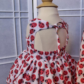 Violette Field Threads June Dress Review