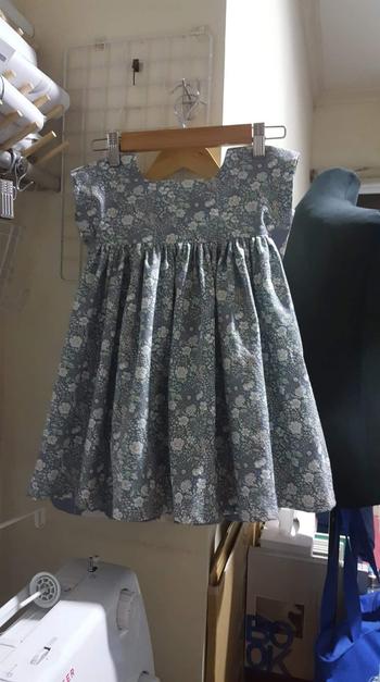 Violette Field Threads Luna Top & Dress Review