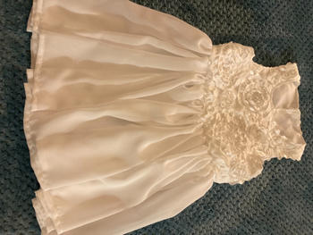 Violette Field Threads Chloe Dress Review