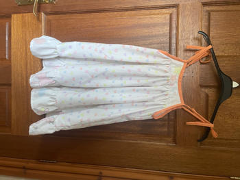 Violette Field Threads Free London Dress Review