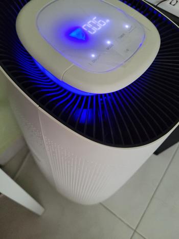 Sterra Sterra Breeze™ True HEPA-13 Filter (3-in-1) Review