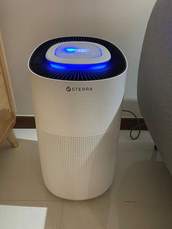 Sterra Sterra Breeze™ True HEPA-13 Filter (3-in-1) Review