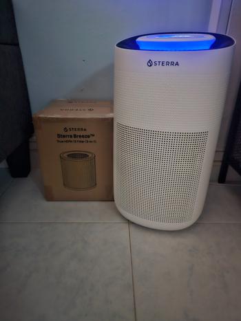Sterra Sterra Breeze™ True HEPA-13 Filter (3-in-1) Review