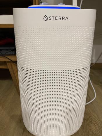 Sterra Sterra Breeze™ 2-Year True HEPA-13 Filter (3-in-1) Review
