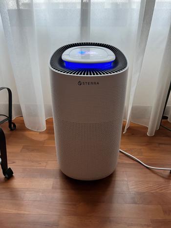 Sterra Sterra Breeze™ 2-Year True HEPA-13 Filter (3-in-1) Review