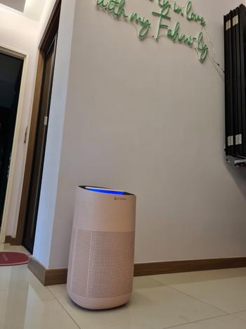 Sterra Sterra Breeze™ True HEPA-13 Air Purifier Review