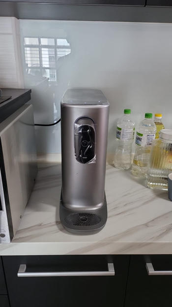 Sterra Chromium Grey Sterra S™ Tankless Water Purifier Review