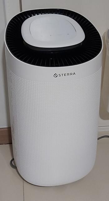 Sterra Sterra Sun™ Dehumidifier Review