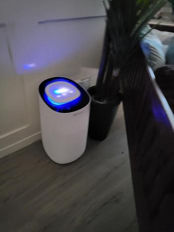 Sterra Sterra Breeze™ True HEPA-13 Air Purifier Review