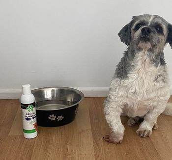 Plenti Pets  Review