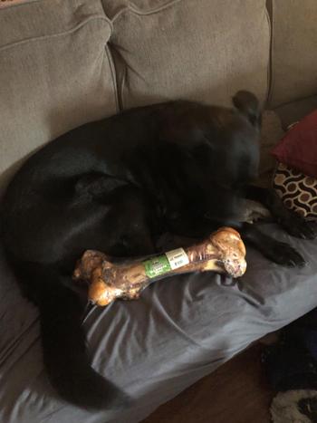Redbarn Pet Products Mammoth Bone Review