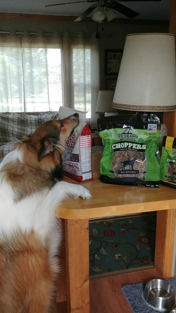 Redbarn Pet Products Choppers® Review
