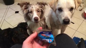 Redbarn Pet Products Filled Hoof Peanut Butter Flavor Review